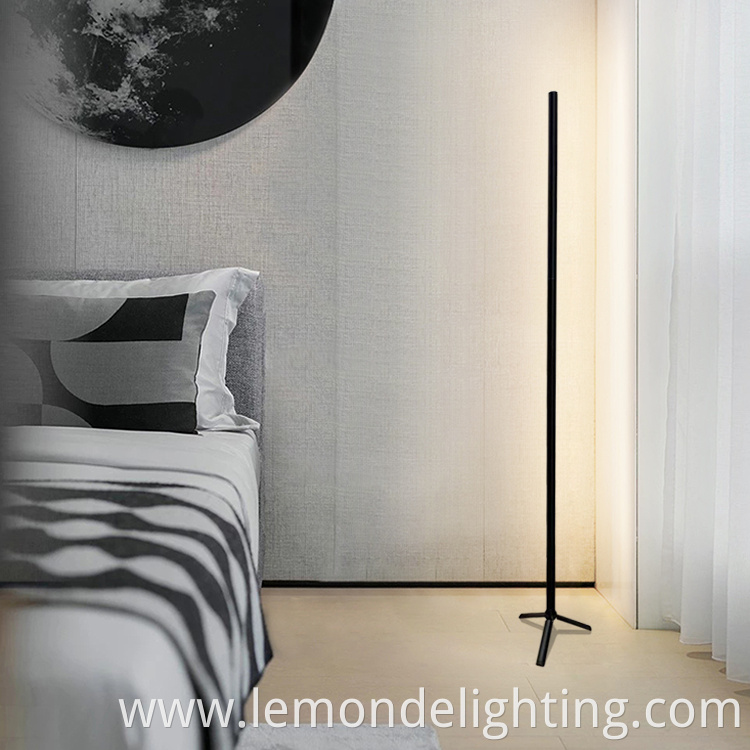 Aesthetic Floor Lamp